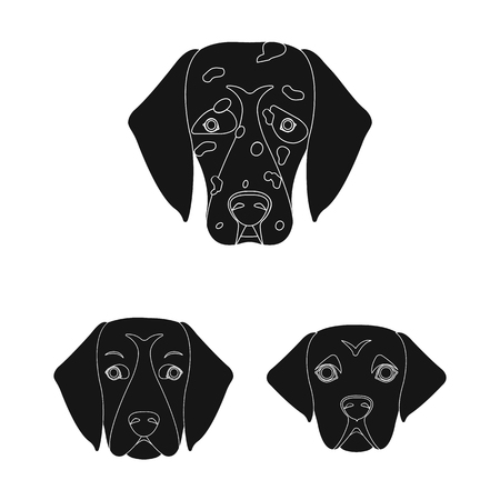 Isolated object of cute and puppy sign. Set of cute and animal vector icon for stock.のイラスト素材