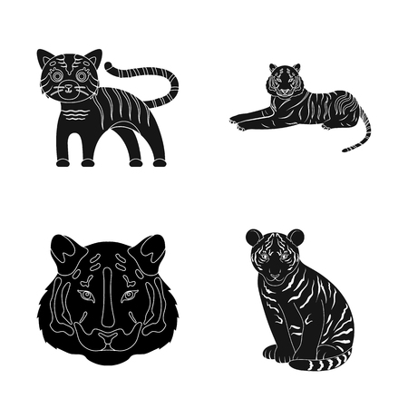 Vector design of tiger and asian symbol. Collection of tiger and tattoo vector icon for stock.のイラスト素材