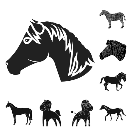 Vector illustration of trot and running sign. Set of trot and clipart stock symbol for web.のイラスト素材