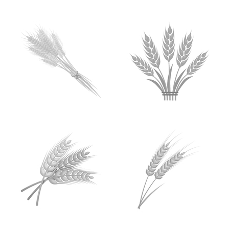 Vector illustration of wheat and stalk sign. Collection of wheat and grain stock symbol for web.のイラスト素材