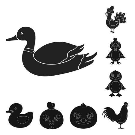 Vector illustration of funny and poultry logo. Set of funny and farming vector icon for stock.のイラスト素材