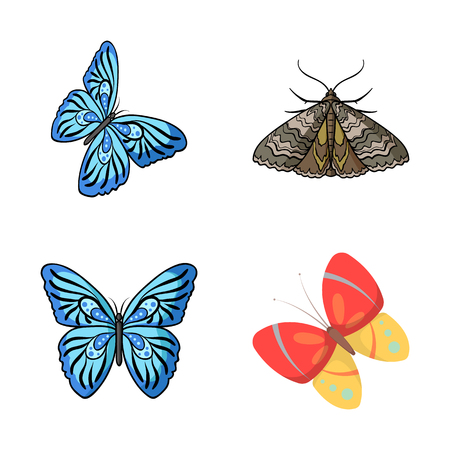 Vector illustration of color and spring symbol. Collection of color and fly stock symbol for web.のイラスト素材