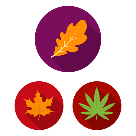 Vector illustration of vegan and organic symbol. Collection of vegan and fresh vector icon for stock.のイラスト素材