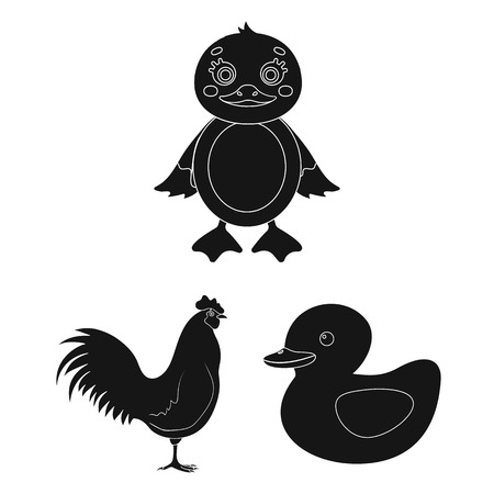 Vector illustration of funny and poultry symbol. Collection of funny and farming stock vector illustration.のイラスト素材