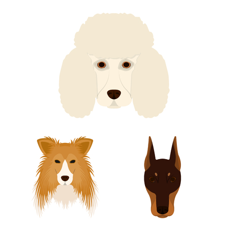 Vector illustration of cute and puppy logo. Collection of cute and animal vector icon for stock.のイラスト素材