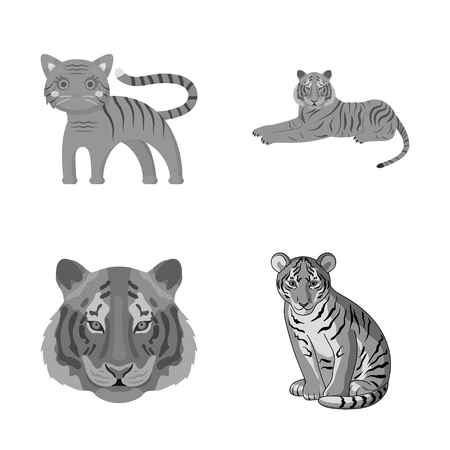 Isolated object of tiger and asian icon. Collection of tiger and tattoo vector icon for stock.のイラスト素材