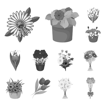 Vector design of spring and wreath icon. Collection of spring and blossom vector icon for stock.のイラスト素材
