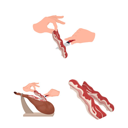 Isolated object of bacon and breakfast sign. Set of bacon and cooked stock vector illustration.のイラスト素材