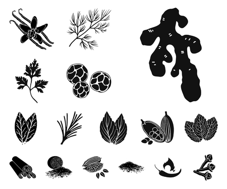 Herb and spices black icons in set collection for design.Different kinds of seasonings vector symbol stock web illustration.のイラスト素材