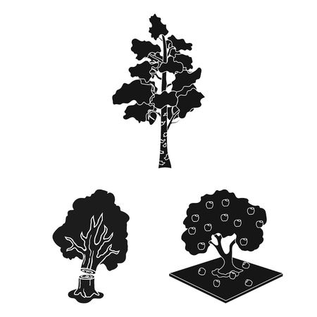 Isolated object of tree  and forest symbol. Set of tree  and green stock symbol for web.のイラスト素材