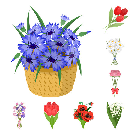 Isolated object of spring and wreath sign. Set of spring and blossom stock vector illustration.のイラスト素材