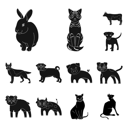 Vector design of animal and habitat sign. Set of animal and farm stock vector illustration.のイラスト素材