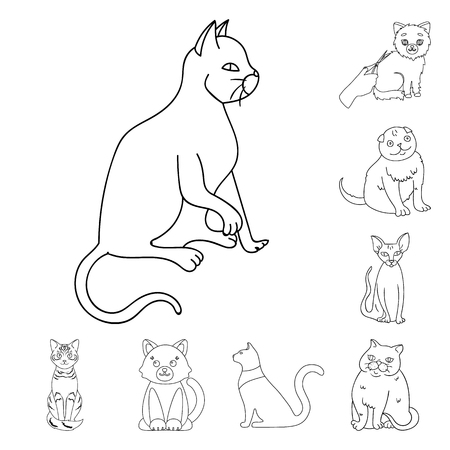 Vector illustration of pet and sphynx sign. Collection of pet and fun stock symbol for web.のイラスト素材