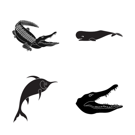 Vector illustration of water and drop logo. Collection of water and splash stock symbol for web.のイラスト素材