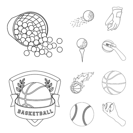 Isolated object of ball and soccer logo. Set of ball and basketball stock vector illustration.のイラスト素材