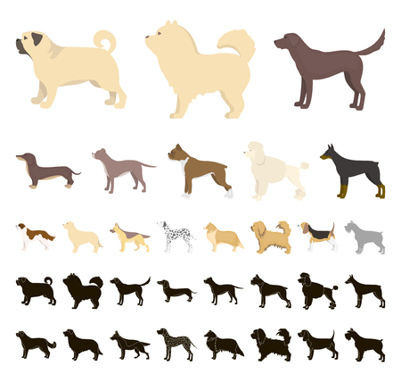 Dog breeds cartoon, black icons in set collection for design.Dog pet vector symbol stock web illustration.のイラスト素材