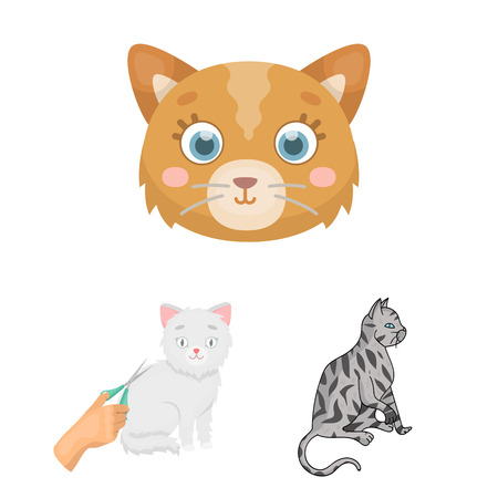 Illustration of pet and sphynx symbol. Set of pet and fun stock symbol for web.のイラスト素材
