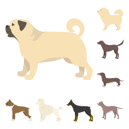 Vector illustration of cute and puppy symbol. Collection of cute and animal stock vector illustration.のイラスト素材