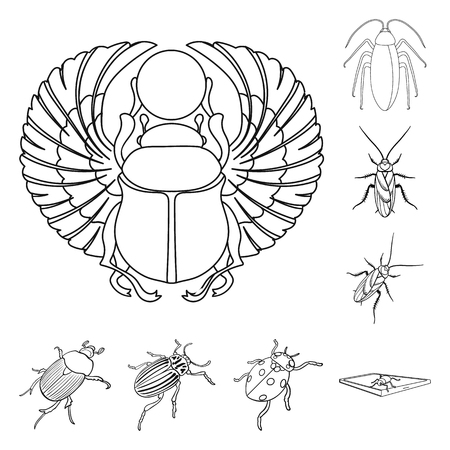 Vector design of insect and beetle. Set of insect and halloween stock vector illustration.のイラスト素材