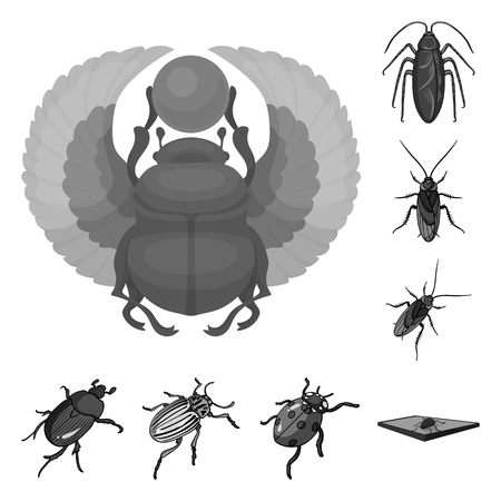 Vector illustration of insect and beetle icon. Set of insect and halloween stock vector illustration.のイラスト素材