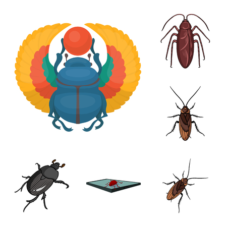 Vector design of insect and beetle symbol. Collection of insect and halloween vector icon for stock.のイラスト素材
