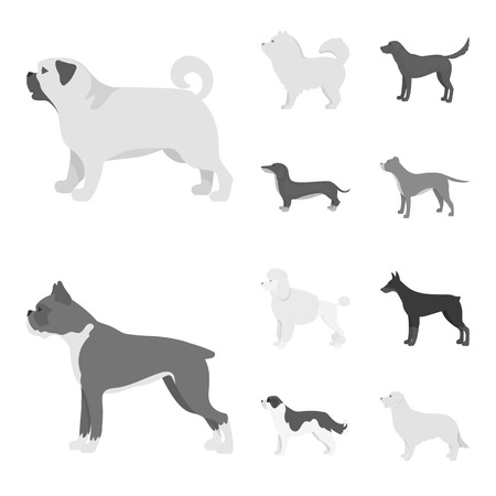 Isolated object of cute and puppy symbol. Collection of cute and animal stock vector illustration.のイラスト素材