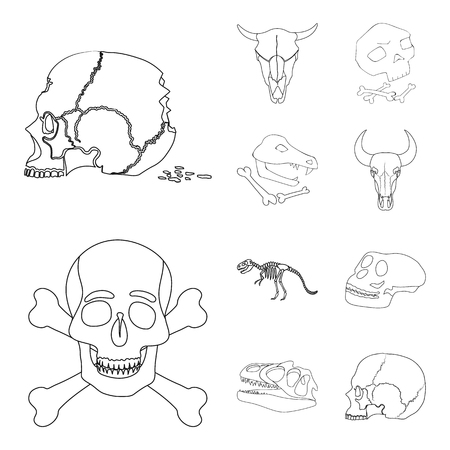 Vector design of skeleton and character sign. Set of skeleton and halloween vector icon for stock.のイラスト素材