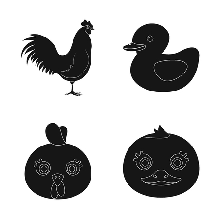 Isolated object of funny and poultry symbol. Collection of funny and farming stock symbol for web.のイラスト素材