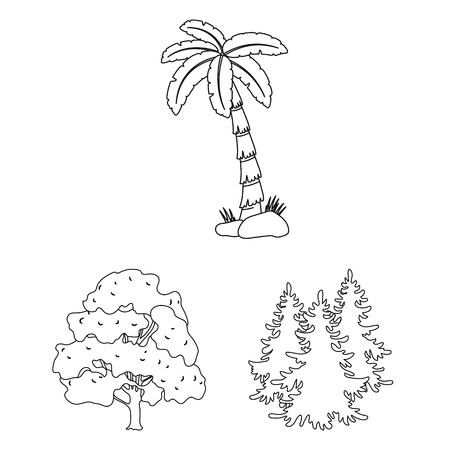 Vector design of tree  and forest sign. Set of tree  and green stock symbol for web.のイラスト素材