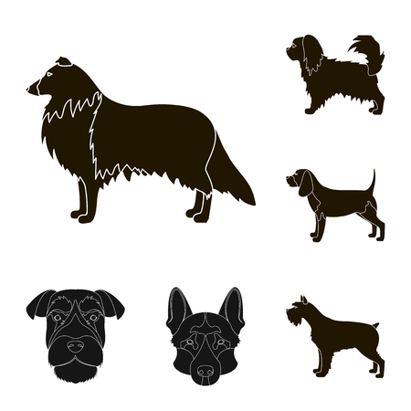 Vector illustration of cute and puppy symbol. Collection of cute and animal stock symbol for web.のイラスト素材
