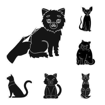 Vector illustration of pet and sphynx symbol. Set of pet and fun stock vector illustration.のイラスト素材