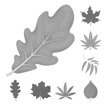 Vector illustration of vegan and organic symbol. Set of vegan and fresh vector icon for stock.のイラスト素材