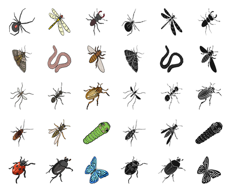 Different kinds of insects cartoon,black icons in set collection for design. Insect arthropod vector isometric symbol stock web illustration.のイラスト素材