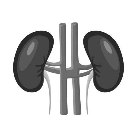 Vector illustration of internal and medical sign. Set of internal and health stock symbol for web.のイラスト素材