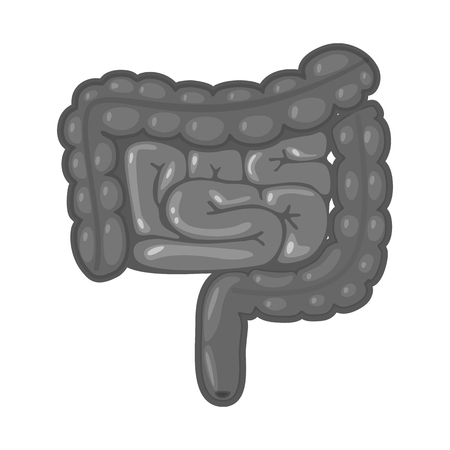Vector illustration of internal and medical sign. Set of internal and health vector icon for stock.のイラスト素材