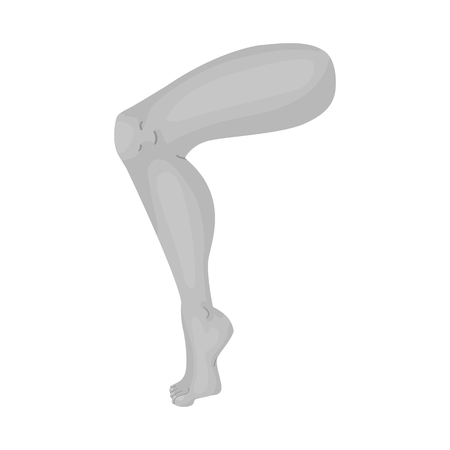 Vector illustration of body and part sign. Set of body and anatomy vector icon for stock.のイラスト素材