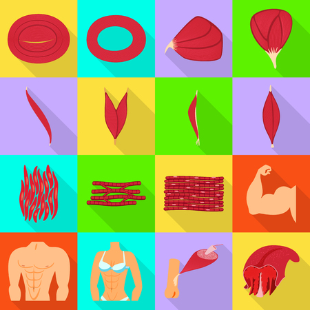 Isolated object of muscle and cells sign. Collection of muscle and anatomy stock symbol for web.のイラスト素材