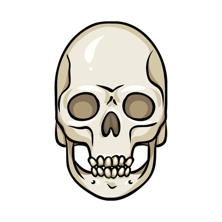 Isolated object of bone and skeleton sign. Collection of bone and human vector icon for stock.のイラスト素材