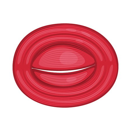 Isolated object of muscle and cells symbol. Set of muscle and anatomy vector icon for stock.のイラスト素材