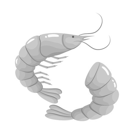 Vector illustration of food and sea sign. Set of food and healthy stock vector illustration.のイラスト素材