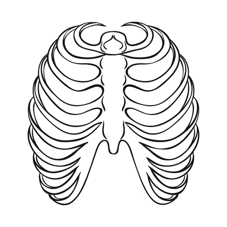 Vector illustration of bone and skeleton symbol. Set of bone and human vector icon for stock.のイラスト素材