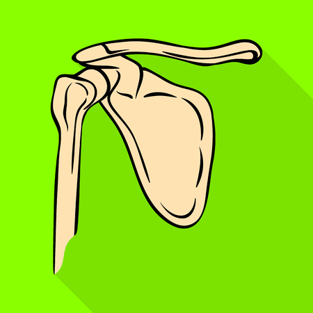 Isolated object of bone and skeleton sign. Collection of bone and human stock symbol for web.のイラスト素材