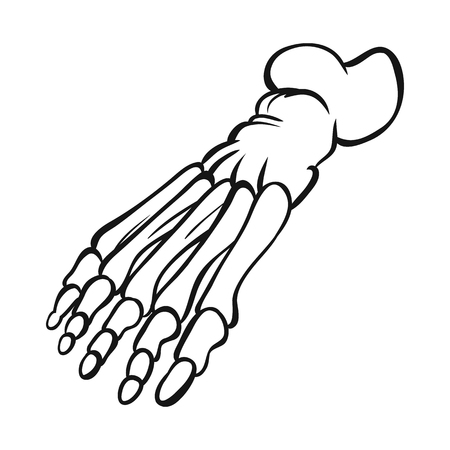 Vector design of bone and skeleton icon. Set of bone and human stock vector illustration.のイラスト素材