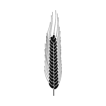 Vector illustration of wheat and corn sign. Collection of wheat and harvest stock symbol for web.のイラスト素材