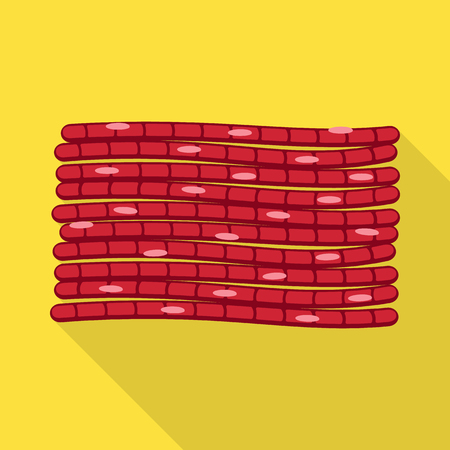 Vector illustration of muscle and cells icon. Set of muscle and anatomy stock vector illustration.のイラスト素材