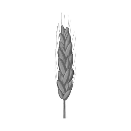 Vector design of wheat and corn logo. Collection of wheat and harvest vector icon for stock.のイラスト素材