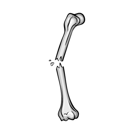 Isolated object of bone and skeleton sign. Collection of bone and human vector icon for stock.のイラスト素材