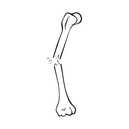 Isolated object of bone and skeleton logo. Set of bone and human stock vector illustration.のイラスト素材
