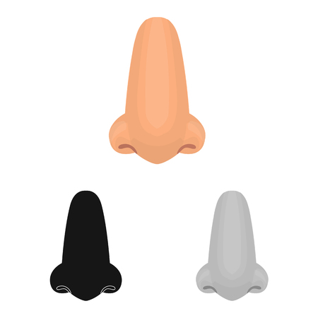 Isolated object of body and part sign. Set of body and anatomy vector icon for stock.のイラスト素材