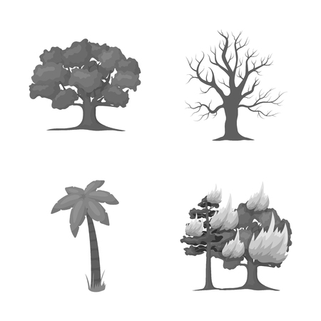 Vector illustration of tree  and forest. Collection of tree  and green stock vector illustration.のイラスト素材